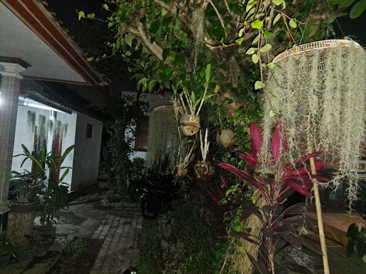 Ascarya Guest House Sanur  Ngoại thất bức ảnh