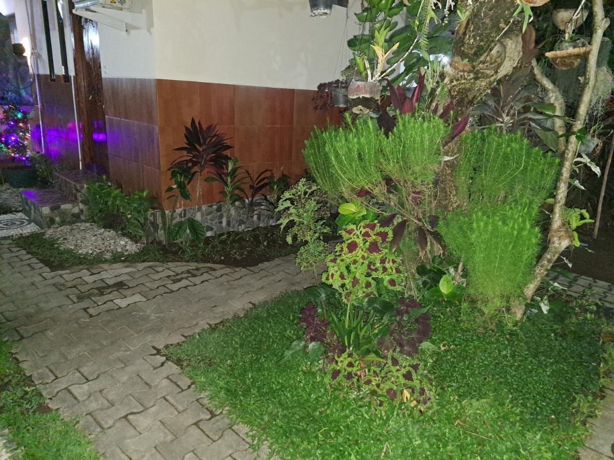 Ascarya Guest House Sanur  Ngoại thất bức ảnh