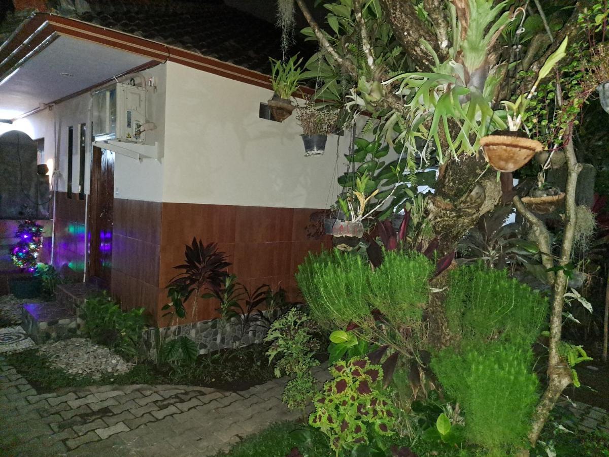 Ascarya Guest House Sanur  Ngoại thất bức ảnh