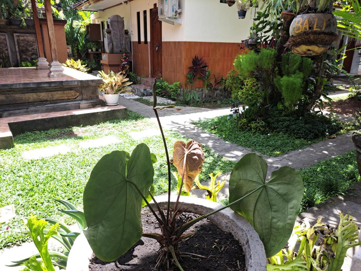 Ascarya Guest House Sanur  Ngoại thất bức ảnh