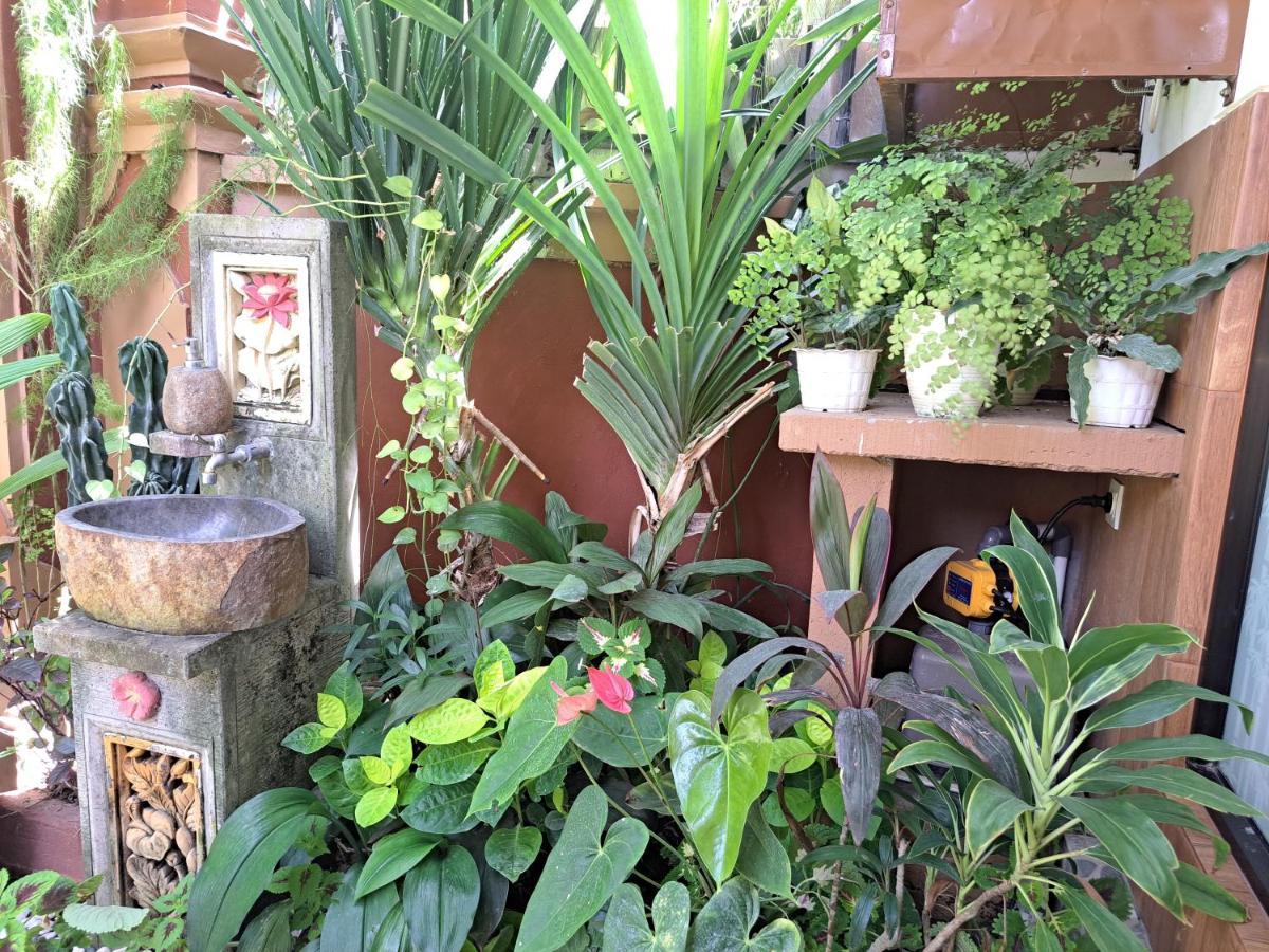 Ascarya Guest House Sanur  Ngoại thất bức ảnh